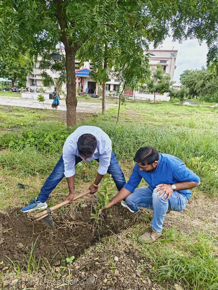 Planting Activity